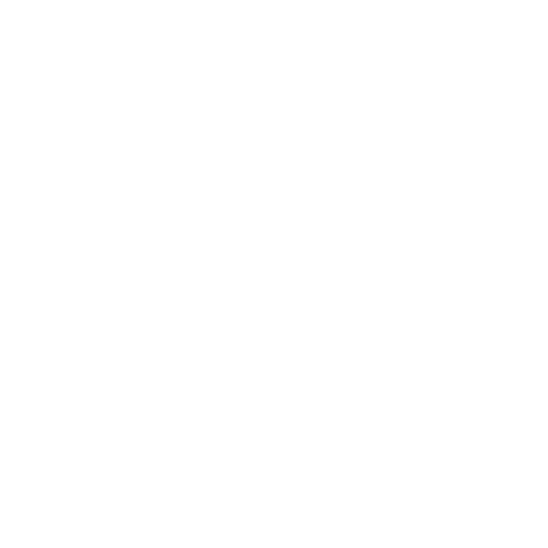 Morphlete X